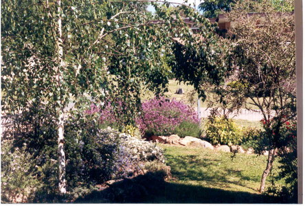AC-GardenSth.jpg